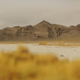 Illustration for article titled 50 glorious screencaps from John Carter offer your first real look at the Tharks!